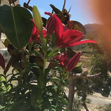 Rural Casa Medico Bed & Breakfast